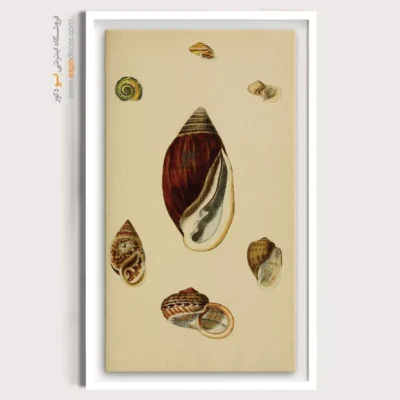 تابلو جانوران دریایی - اسپو دکور