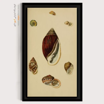 تابلو جانوران دریایی - اسپو دکور