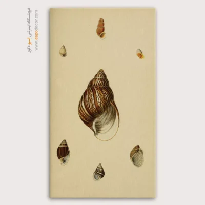 تابلو جانوران دریایی - اسپو دکور