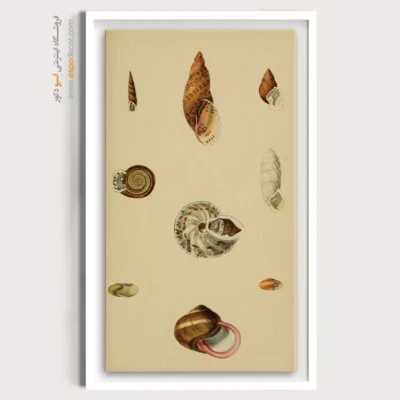 تابلو جانوران دریایی - اسپو دکور