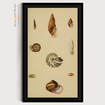 تابلو جانوران دریایی - اسپو دکور