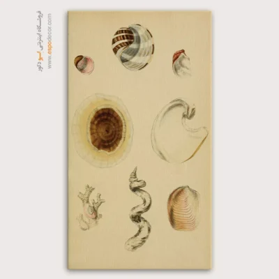 تابلو جانوران دریایی - اسپو دکور