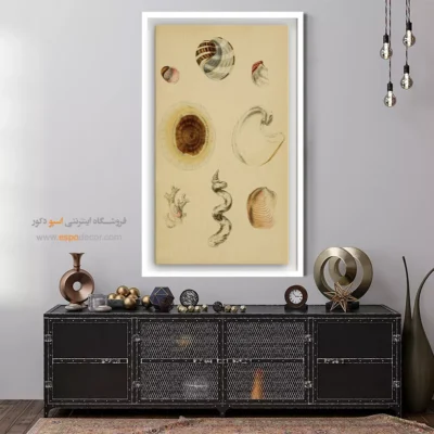 تابلو جانوران دریایی - اسپو دکور