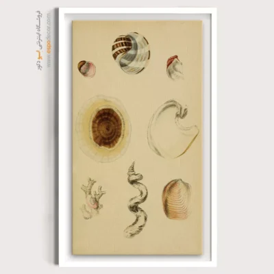 تابلو جانوران دریایی - اسپو دکور