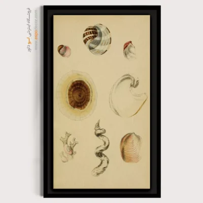 تابلو جانوران دریایی - اسپو دکور