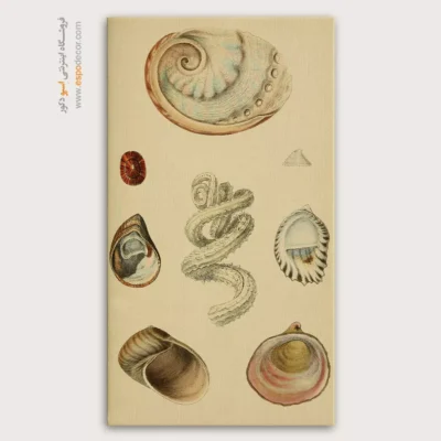 تابلو جانوران دریایی - اسپو دکور