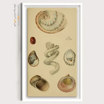 تابلو جانوران دریایی - اسپو دکور