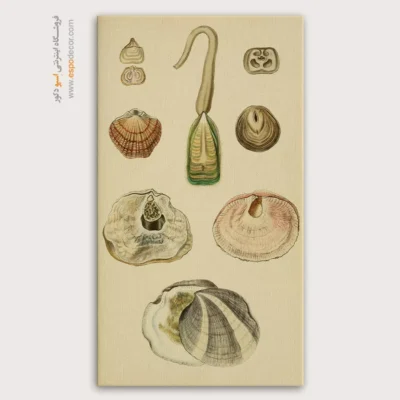 تابلو جانوران دریایی - اسپو دکور