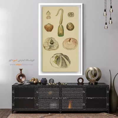 تابلو جانوران دریایی - اسپو دکور