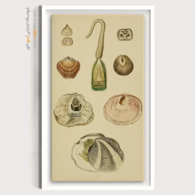 تابلو جانوران دریایی - اسپو دکور