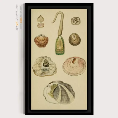 تابلو جانوران دریایی - اسپو دکور