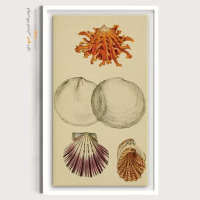 تابلو جانوران دریایی - اسپو دکور