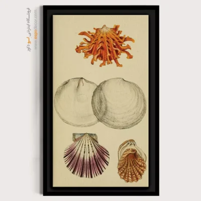 تابلو جانوران دریایی - اسپو دکور