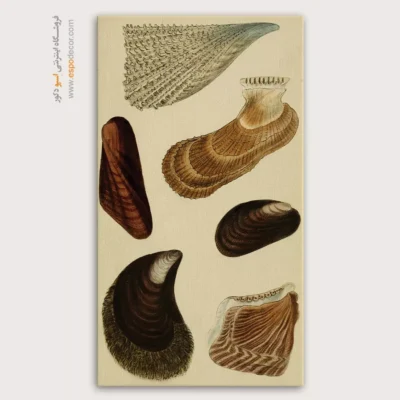 تابلو جانوران دریایی - اسپو دکور