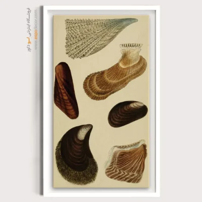 تابلو جانوران دریایی - اسپو دکور