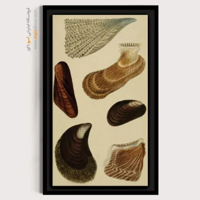 تابلو جانوران دریایی - اسپو دکور