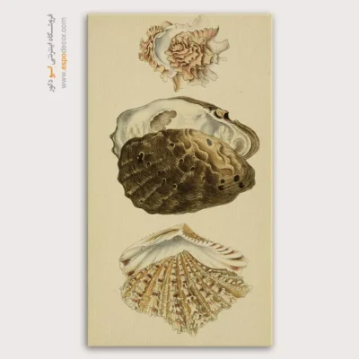 تابلو جانوران دریایی - اسپو دکور