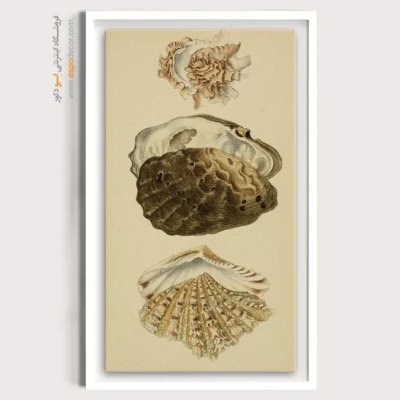 تابلو جانوران دریایی - اسپو دکور