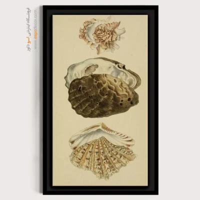 تابلو جانوران دریایی - اسپو دکور