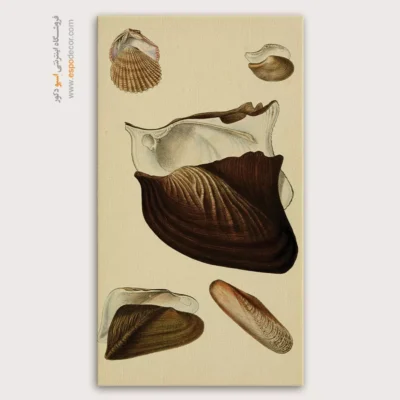 تابلو جانوران دریایی - اسپو دکور