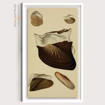 تابلو جانوران دریایی - اسپو دکور