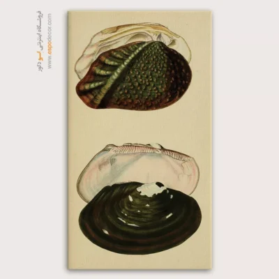 تابلو جانوران دریایی - اسپو دکور