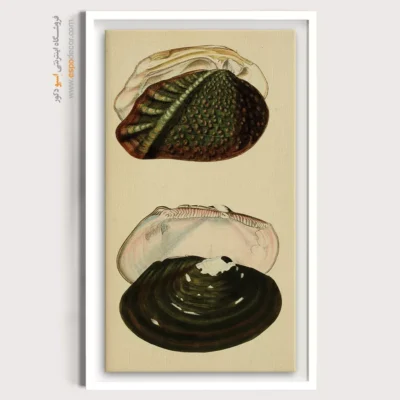 تابلو جانوران دریایی - اسپو دکور