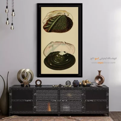 تابلو جانوران دریایی - اسپو دکور