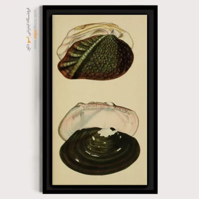 تابلو جانوران دریایی - اسپو دکور