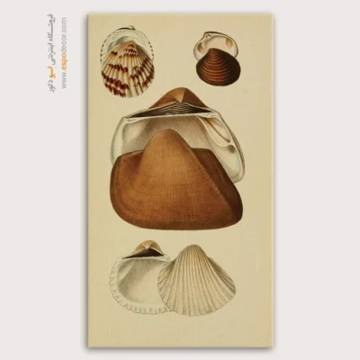 تابلو جانوران دریایی - اسپو دکور