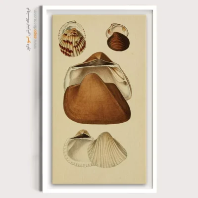 تابلو جانوران دریایی - اسپو دکور