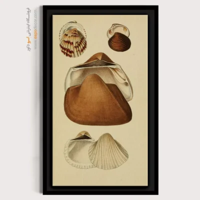 تابلو جانوران دریایی - اسپو دکور