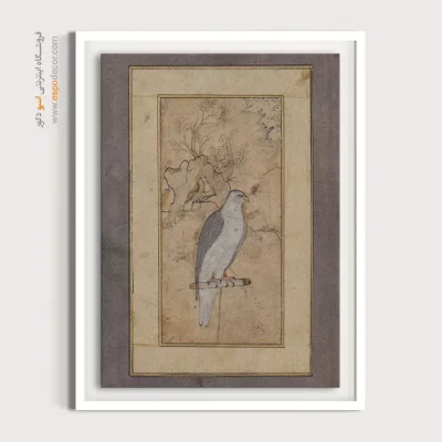 نقاشی مینیاتور - شاهین نشسته – تابلو نقاشی ایرانی - اسپو دکور