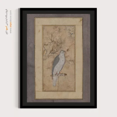 نقاشی مینیاتور - شاهین نشسته – تابلو نقاشی ایرانی - اسپو دکور