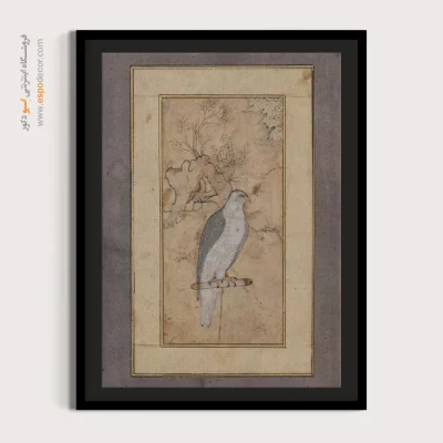 نقاشی مینیاتور - شاهین نشسته – تابلو نقاشی ایرانی - اسپو دکور