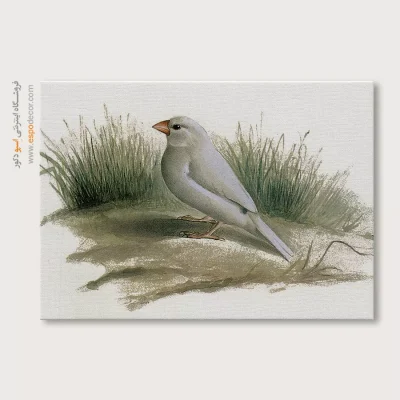 تابلو نقاشی های کمال الملک - اسپو دکور