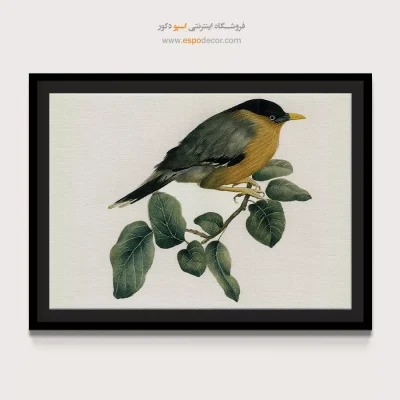 تابلو نقاشی های کمال الملک - اسپو دکور