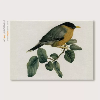 تابلو نقاشی های کمال الملک - اسپو دکور