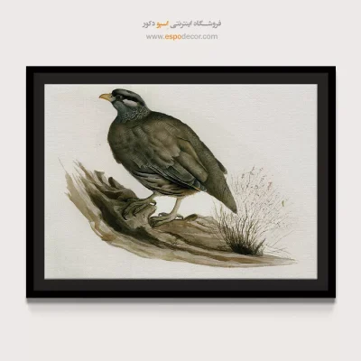 تابلو نقاشی های کمال الملک - اسپو دکور