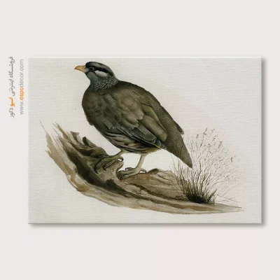 تابلو نقاشی های کمال الملک - اسپو دکور