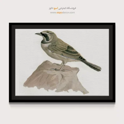 تابلو نقاشی های کمال الملک - اسپو دکور