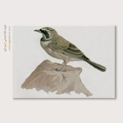 تابلو نقاشی های کمال الملک - اسپو دکور