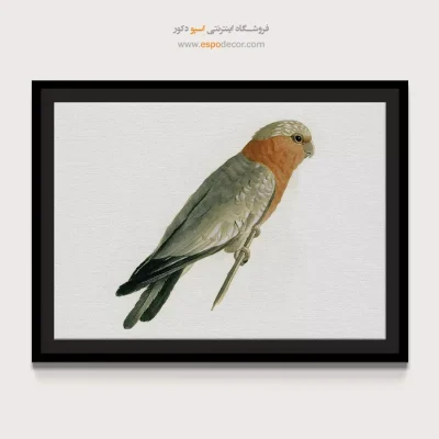 تابلو نقاشی های کمال الملک - اسپو دکور