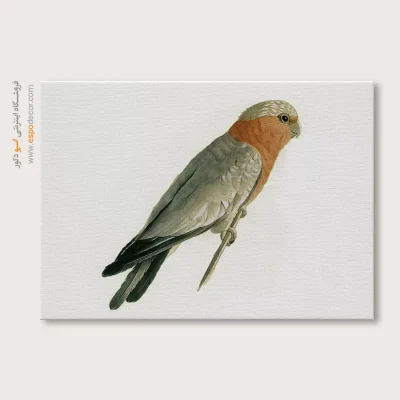 تابلو نقاشی های کمال الملک - اسپو دکور