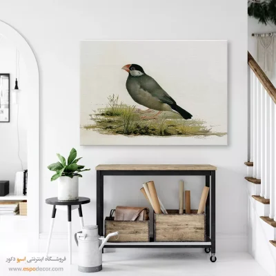 تابلو نقاشی های کمال الملک - اسپو دکور