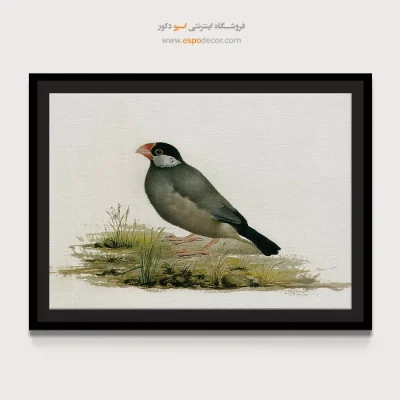 تابلو نقاشی های کمال الملک - اسپو دکور