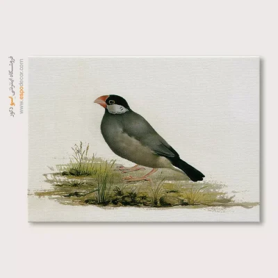 تابلو نقاشی های کمال الملک - اسپو دکور