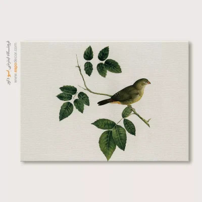 تابلو نقاشی های کمال الملک - اسپو دکور