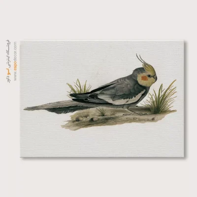 تابلو نقاشی های کمال الملک - اسپو دکور