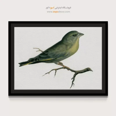 تابلو نقاشی های کمال الملک - اسپو دکور